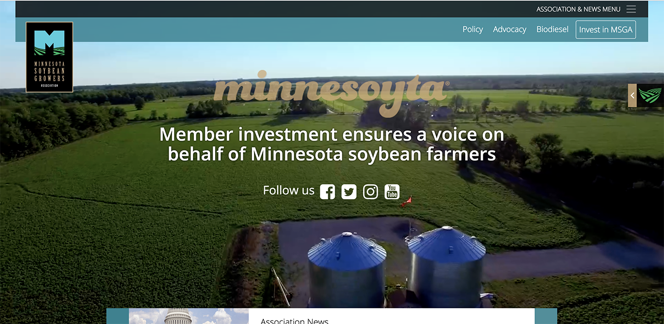 MN Soybean MSGA